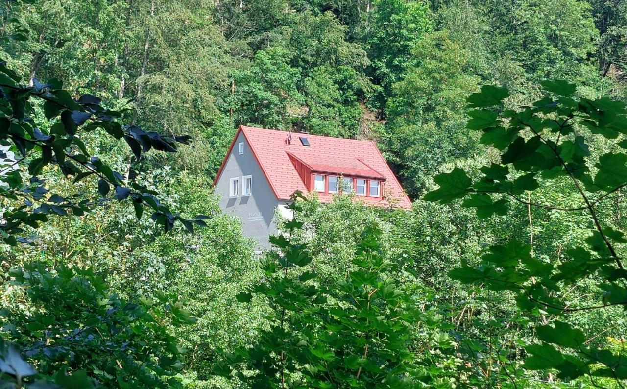 Am Quellenhaeuschen Apartment Naila Luaran gambar
