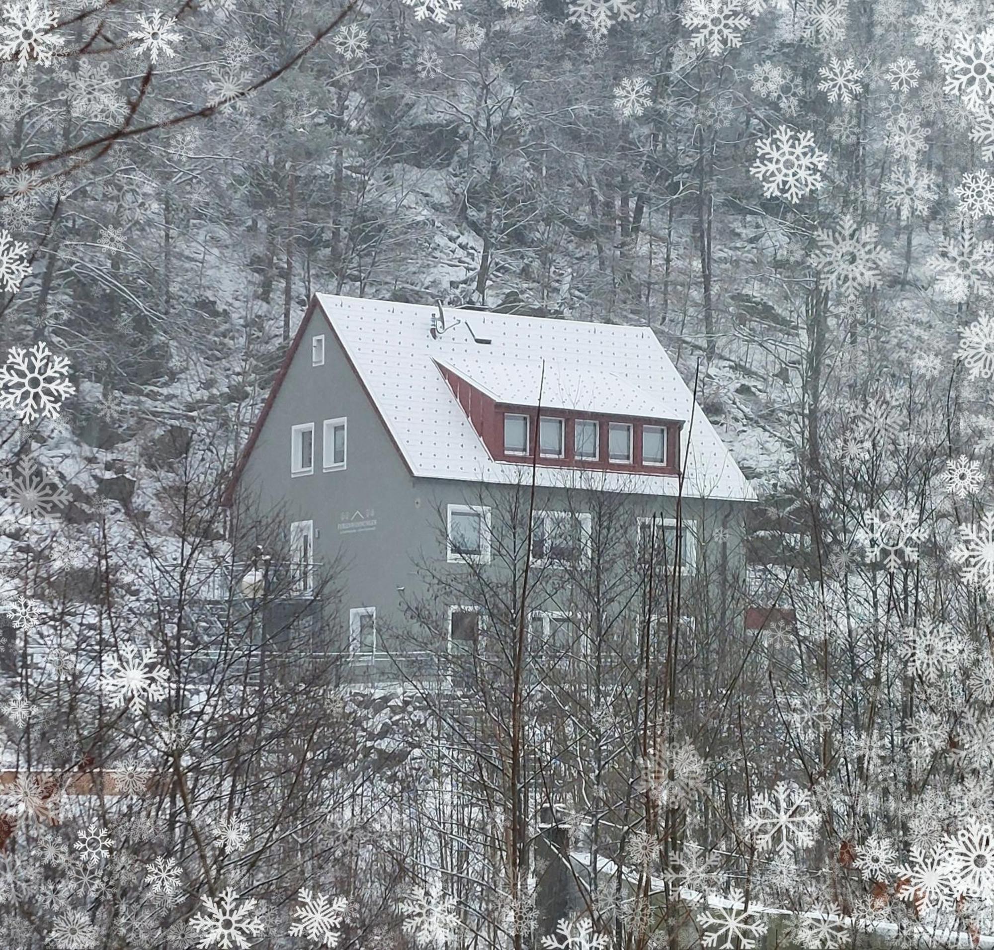 Am Quellenhaeuschen Apartment Naila Luaran gambar